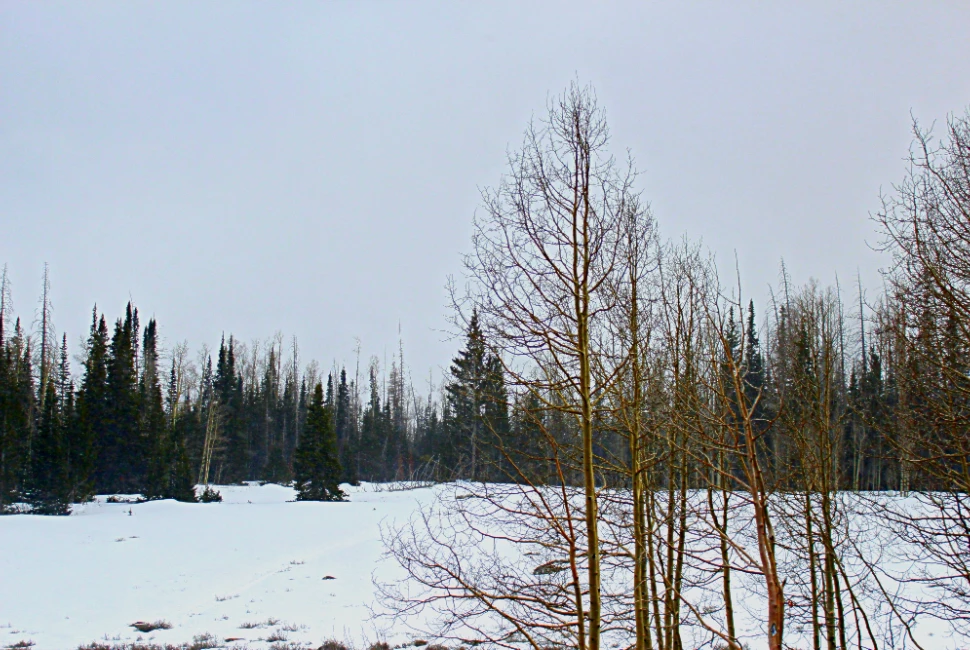 Embrace the Charm and Climate of Panguitch, UT: A Guide to the City and its Weather