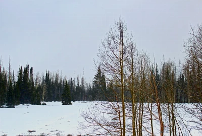 Embrace the Charm and Climate of Panguitch, UT: A Guide to the City and its Weather